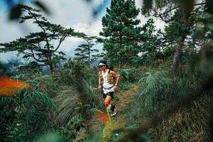 BIB: 
                            <button type="button" onclick="openModal(25258139)" class="btn btn-primary btn-sm float-right btn-popup" data-toggle="modal" data-target=".modal-high-quality">
                        <i class="fas fa-shopping-cart"></i> Add to Cart
                    </button>
                                            <button type="button" onclick="isThisMe(25258139, true)" class="btn btn-success btn-sm float-right btn-popup btn-isme hidden" data-toggle="tooltip" data-placement="bottom" title="นี่คือรูปของคุณใช่ไหม คลิกที่นี่เพื่อเอาเข้าอัลบั้ม">
                        <i class="fas fa-plus"></i> Add to album
                    </button>
                    <button type="button" onclick="isThisMe(25258139, false)" class="btn btn-warning btn-sm float-right btn-popup btn-isnotme hidden">
                        <i class="fas fa-ban"></i> Remove from album
                    </button>